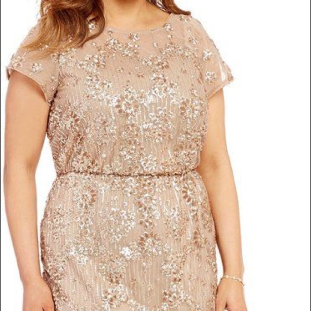 New with tags Brianna evening gown